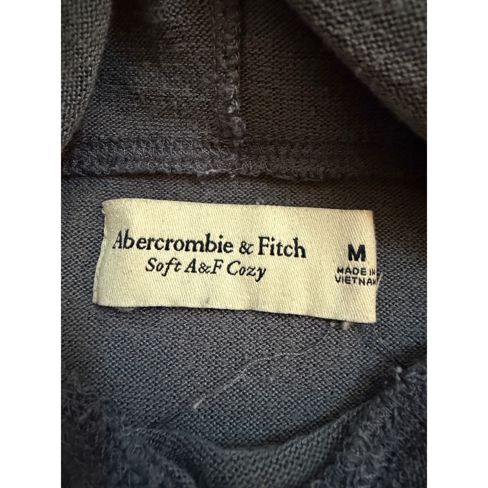 Abercrombie & Fitch Hoodie Womens Medium Blue  Soft Cozy Logo Pullover - Picture 2 of 6